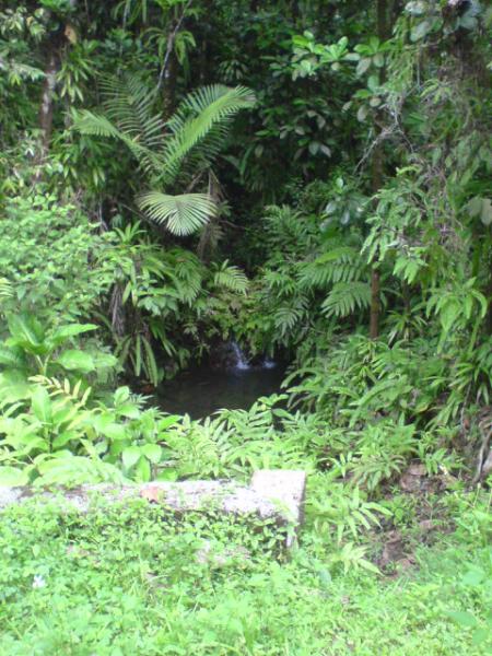 plan Rivière guadeloupe
